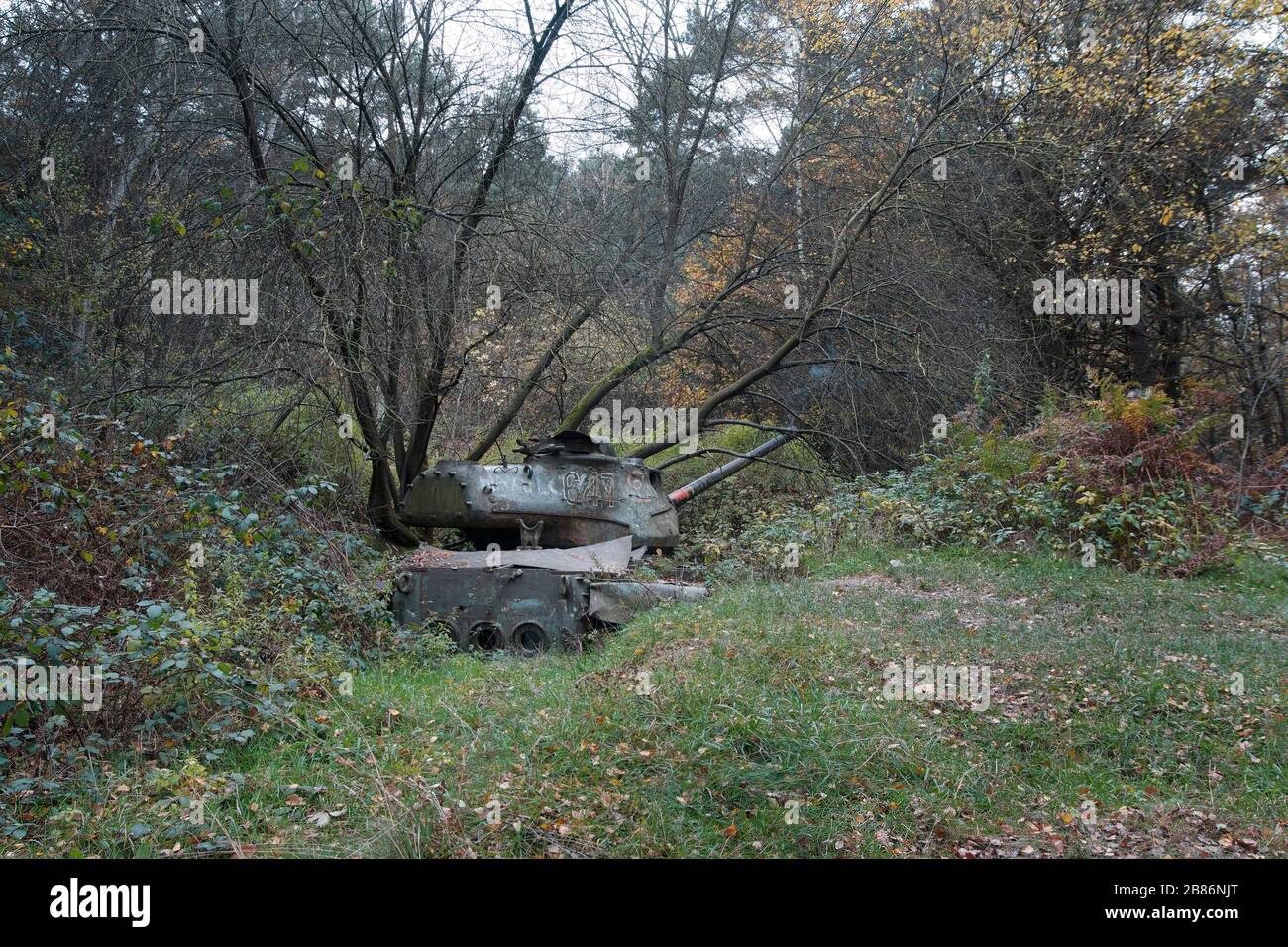 Panzerwrack M47 Patton im Brander Wald / Aachen / Germany Stock Photo