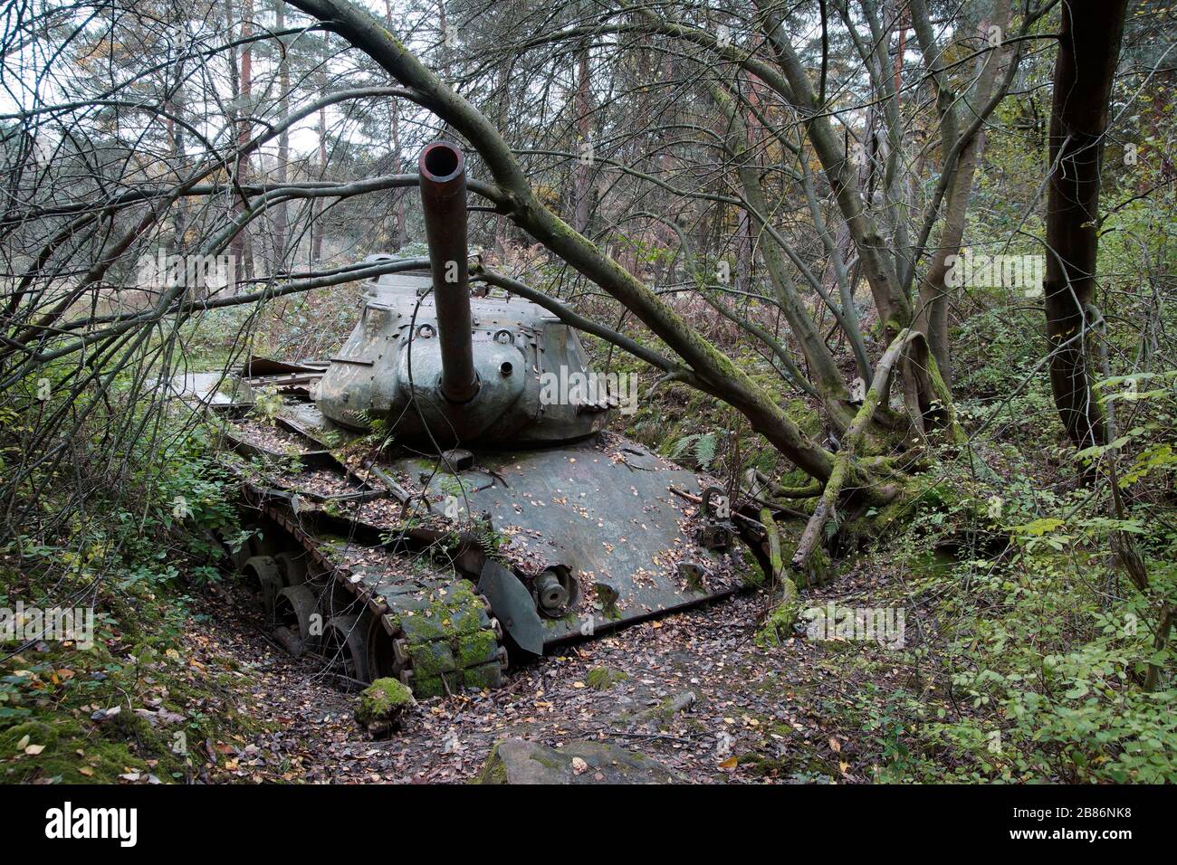 Panzerwrack M47 Patton im Brander Wald / Aachen / Germany Stock Photo