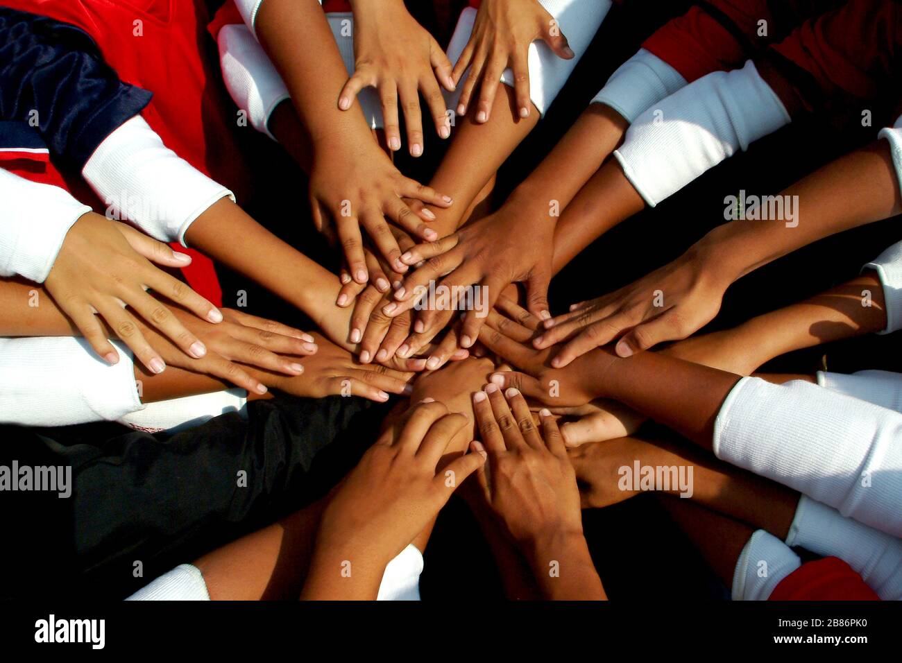 The unity of students and colleagues who complete activities and ...