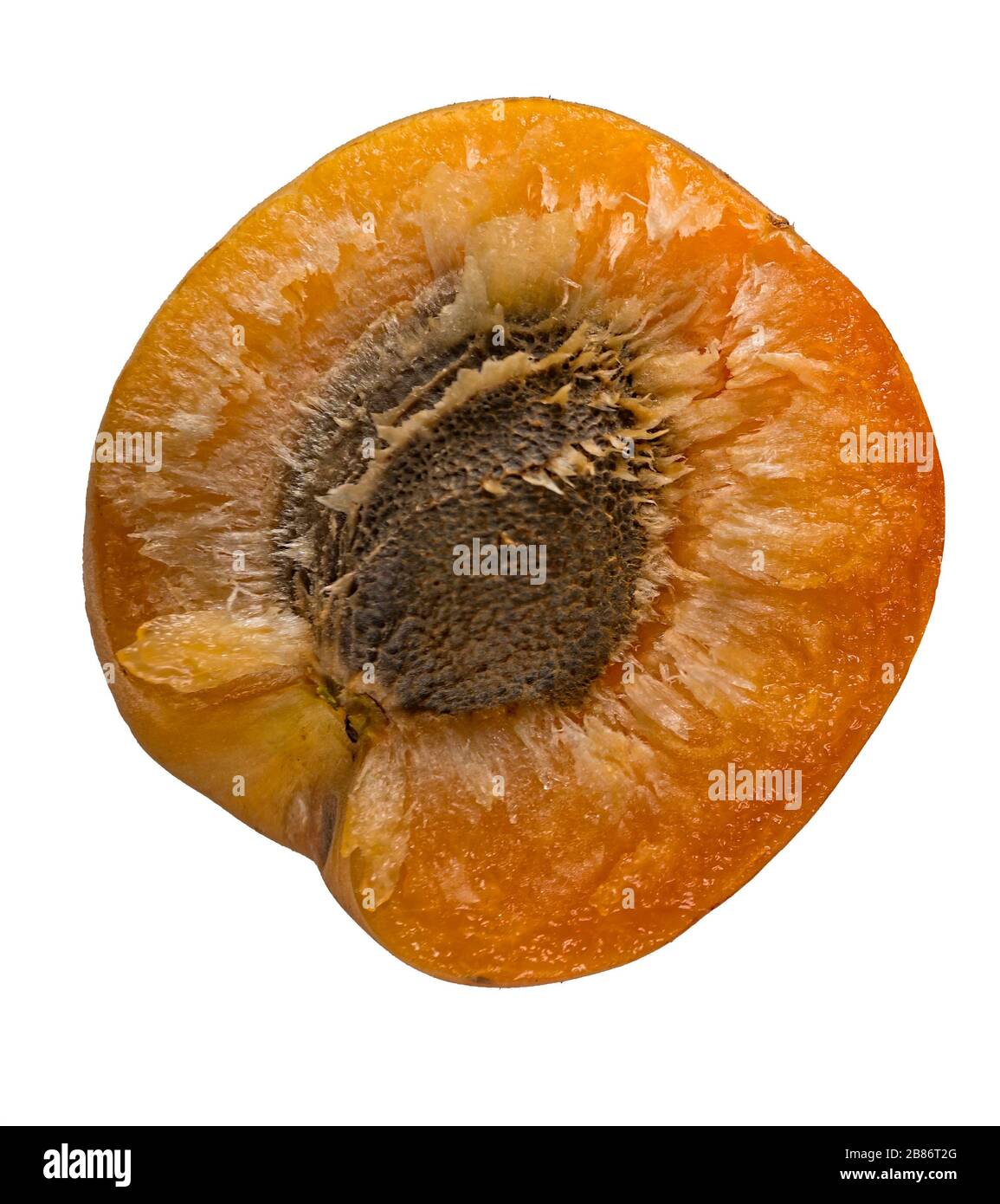 Ripe apricot isolated on a white background Stock Photo - Alamy