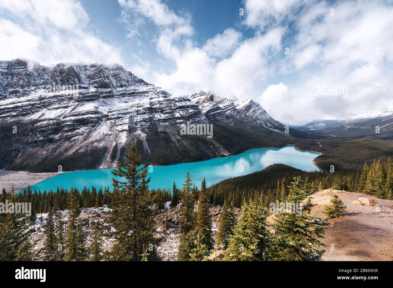 Scenery of Peyto lake resemble of fox on autumn in Banff national park ...