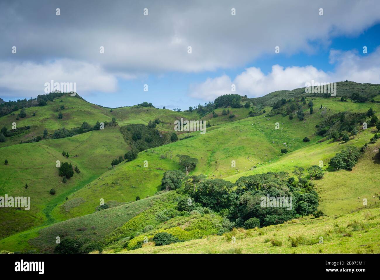 St helena island hi-res stock photography and images - Alamy