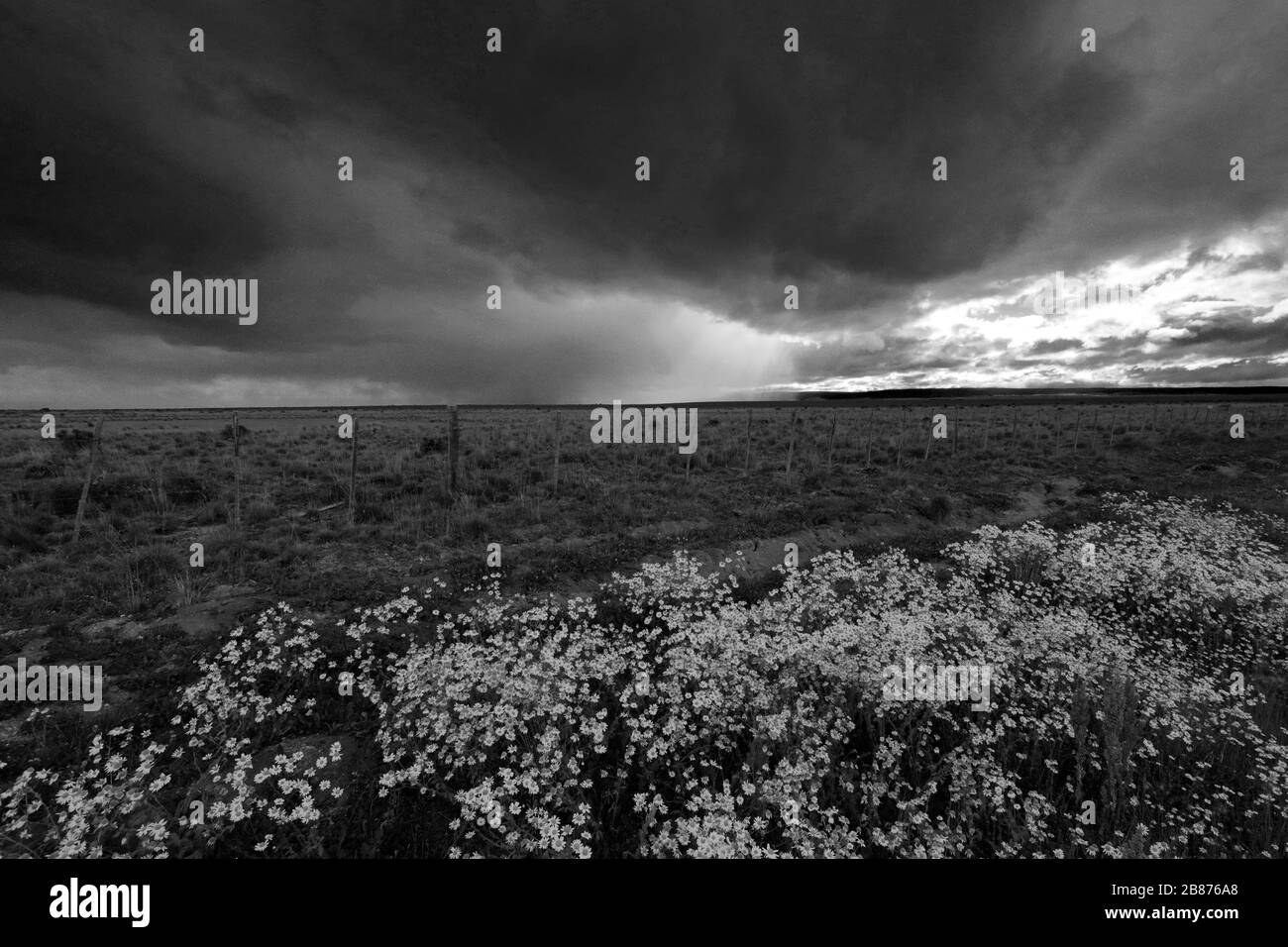 Patagonian plains Black and White Stock Photos & Images Alamy