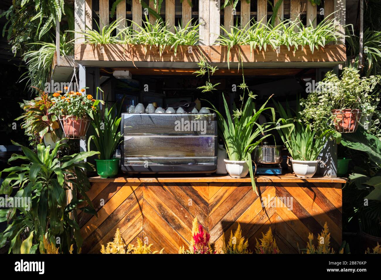 Wooden counter bar with coffee maker and plant ornamental on facade cafe  Stock Photo - Alamy