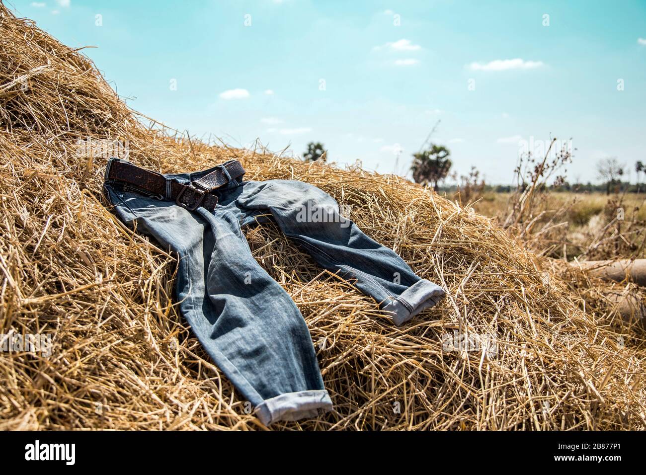 blue jeans on dry straw in cowboy concept with sunny day on country site Stock Photo