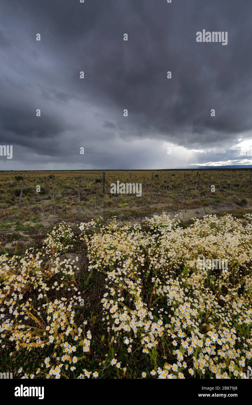Dramatic clouds over the Patagonia Steppe desert, near Punta Arenas city, Patagonia, Chile, South America Stock Photo