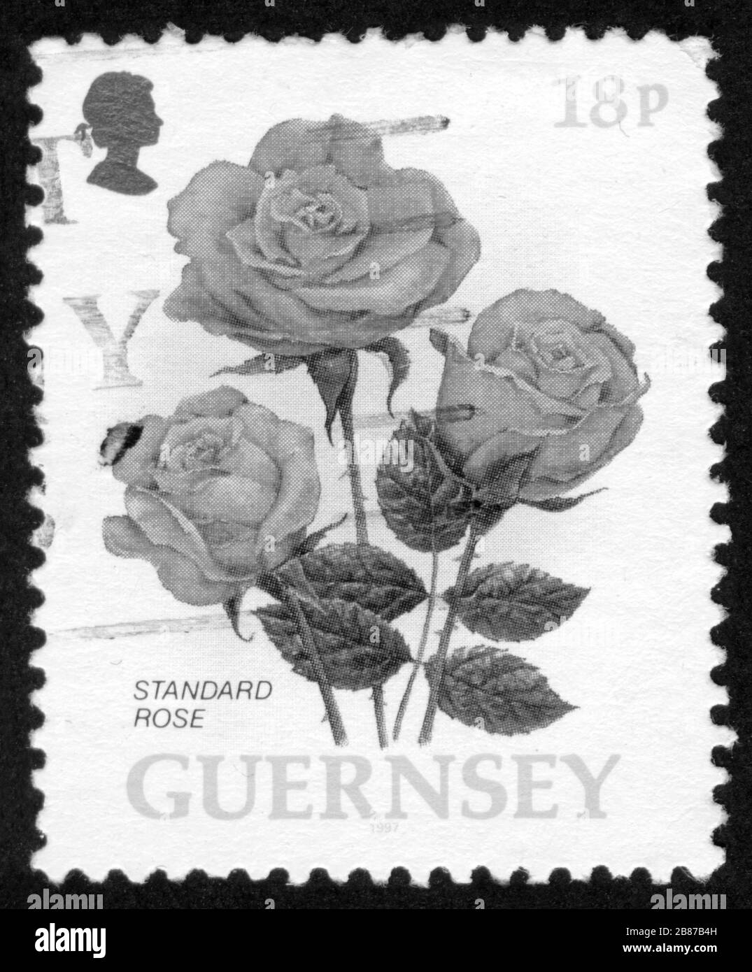 Stamp print in Guernsey,rose,flowers Stock Photo - Alamy