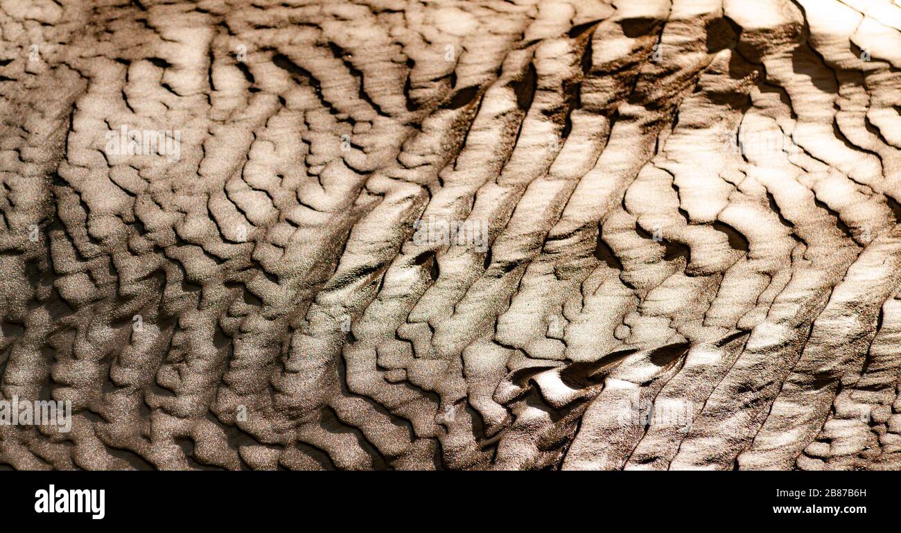 Therapeutic mud bath, natural texture and mud pattern. There are