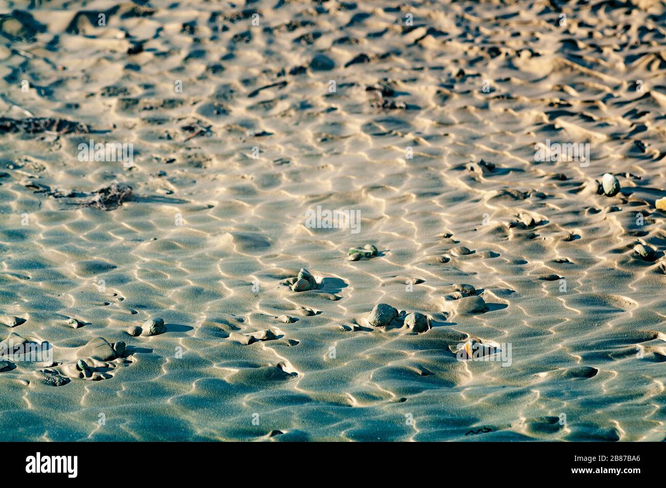 Therapeutic mud bath, natural texture and mud pattern. There are