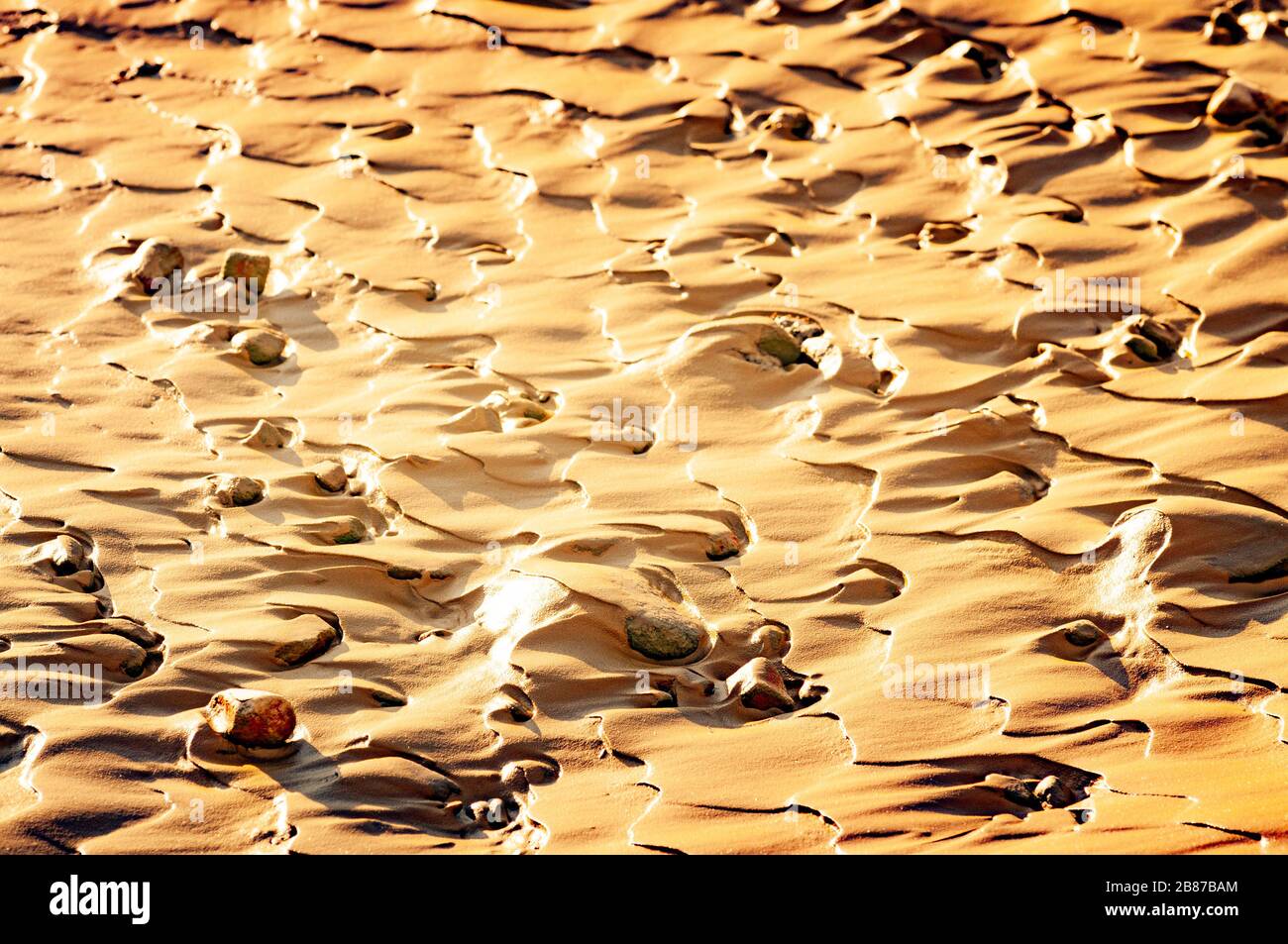 Therapeutic mud bath, natural texture and mud pattern. There are