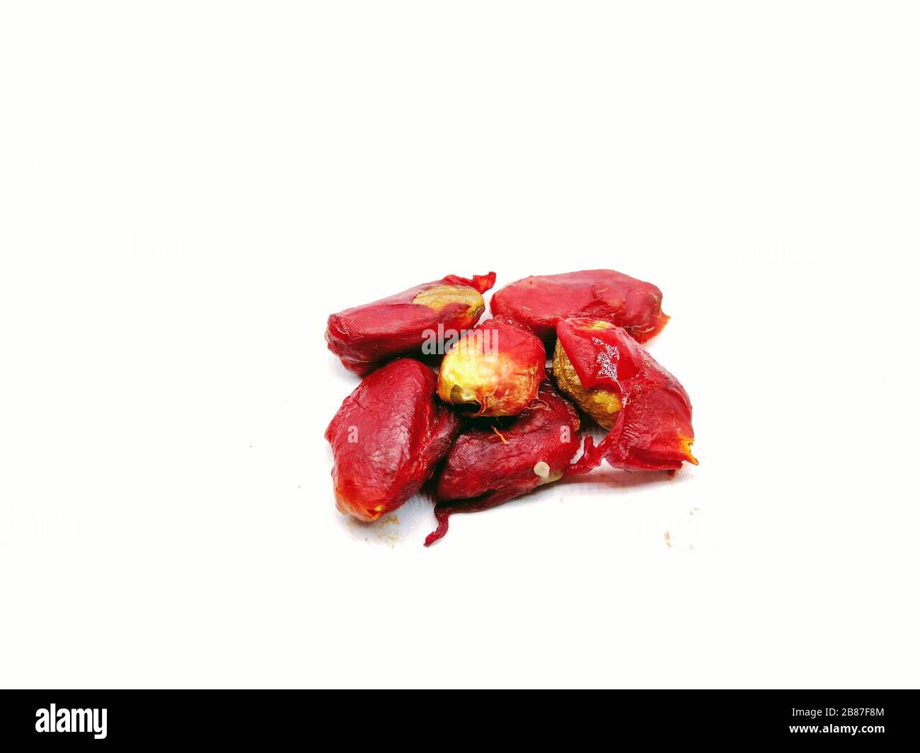 A Picture Of Bitter Gourd Seeds Stock Photo Alamy A Picture Of Bitter Gourd Seeds Stock Photo Alamy