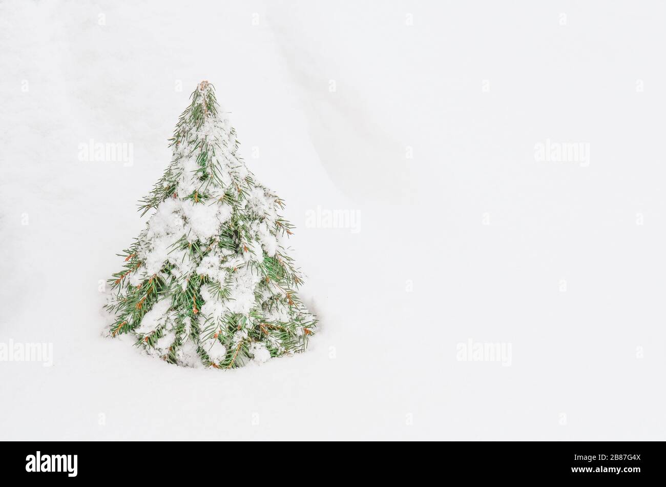 Make a cone Christmas tree based on warp a cardboard or styrofoam cone. Creative Christmas tree ideas. The base of the styrofoam cone will be cover fi Stock Photo