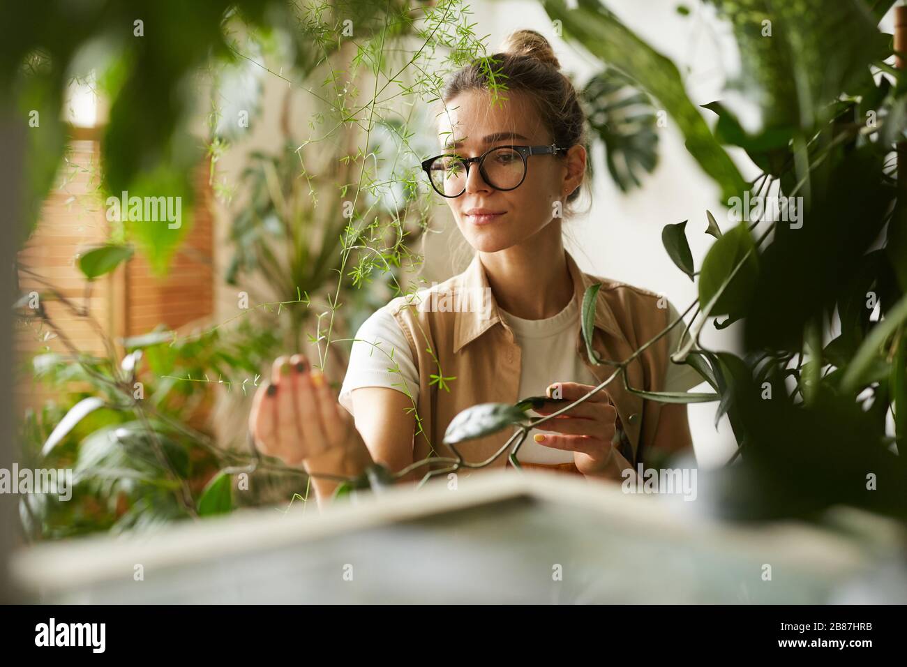 Young botanist in eyeglasses holding branch of decorative plant in her hand and examining it Stock Photo