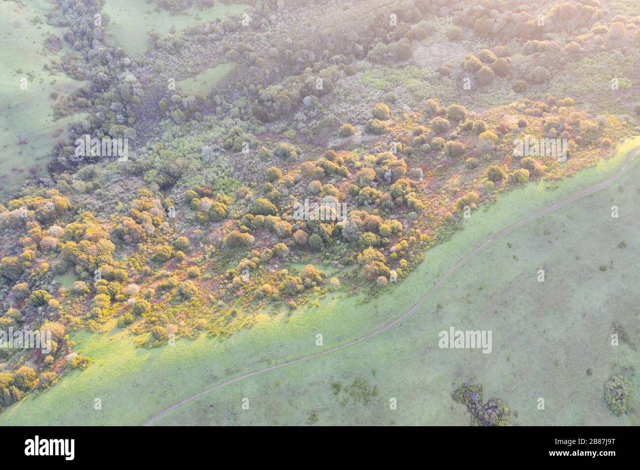 Morning sunlight shines on the green hills of the East Bay in Northern California. This open area, east of San Francisco, is green in the winter. Stock Photo