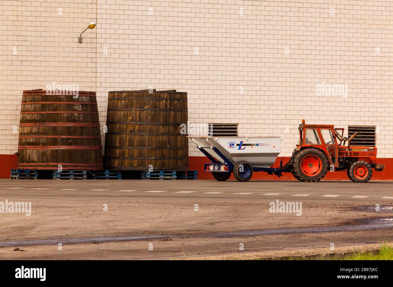 Descarga de uva en Bodegas AGE Stock Photo