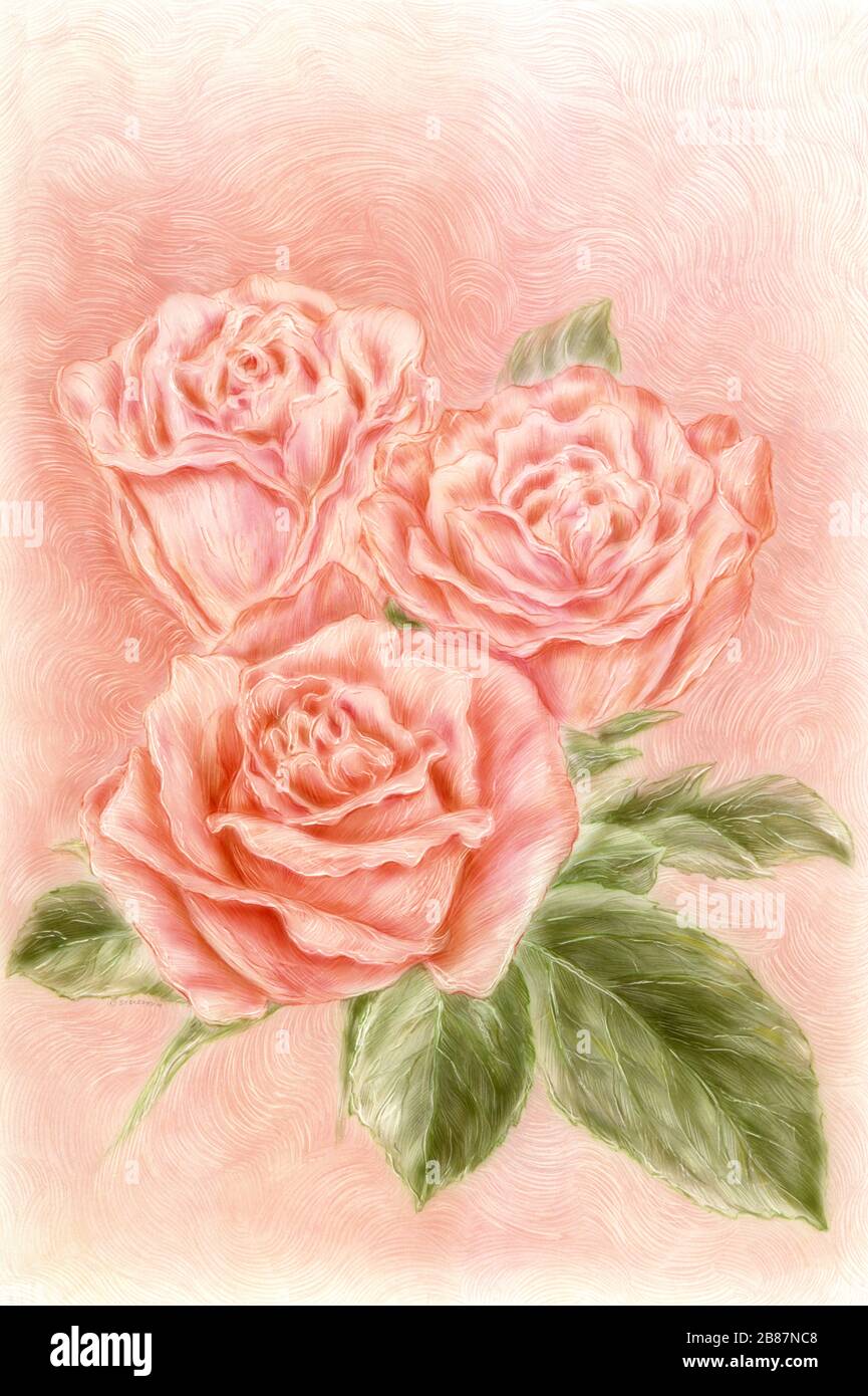 Color Pencil Drawing Roses Bouquet High Resolution Stock Photography And Images Alamy Color Pencil Drawing Roses Bouquet High Resolution Stock Photography And Images Alamy