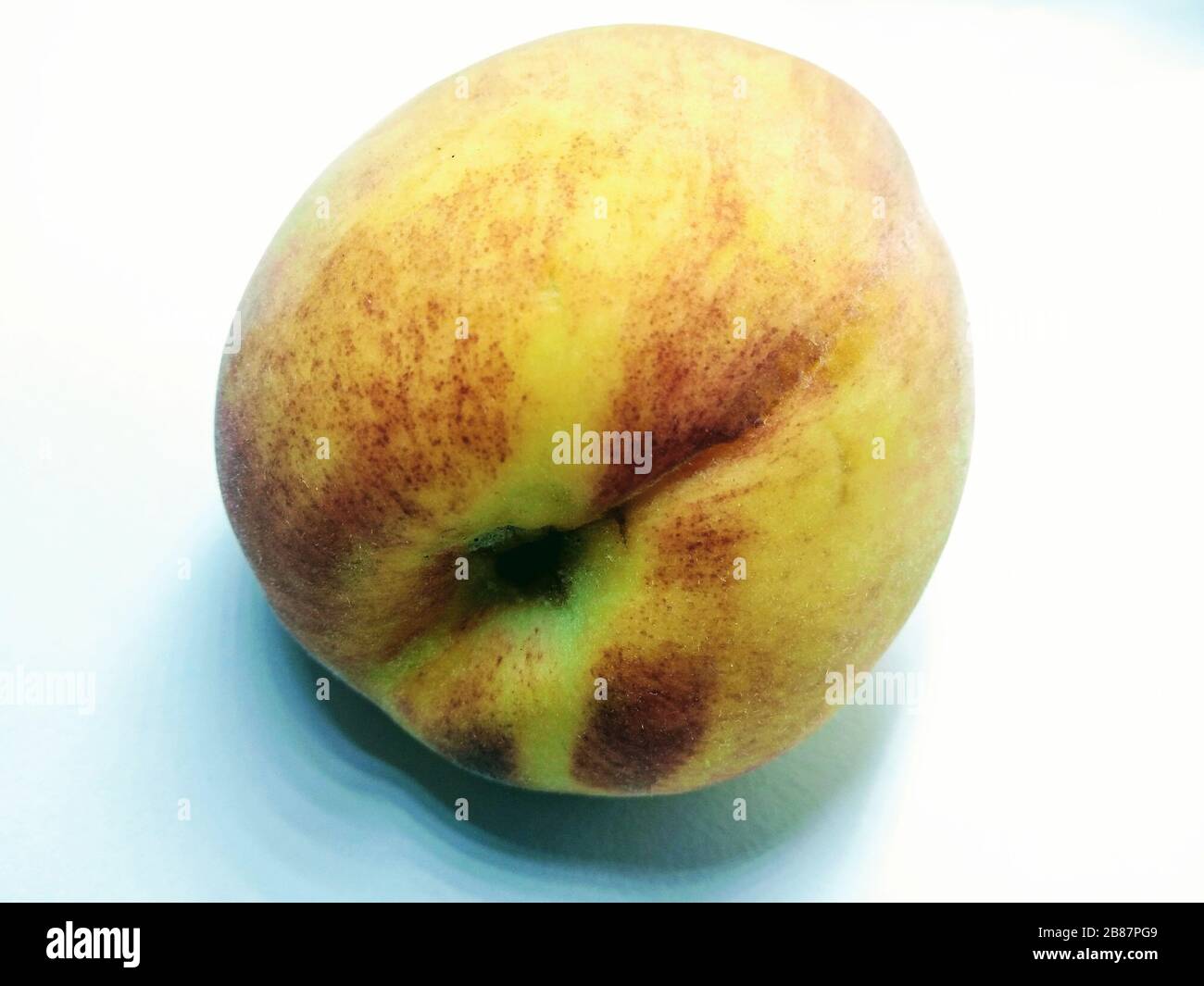 Peach Plastik Binderücken 12mm Weiß - 25 Stück Für Dokumente Bis 95 Seiten