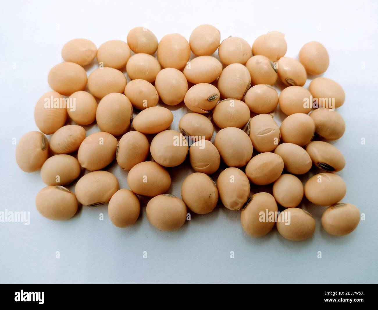 A picture of soybean Stock Photo - Alamy