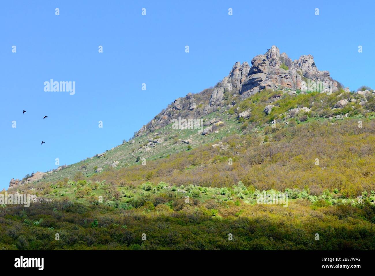 View of the huge rocky cliffs and green valley covered with forest ...