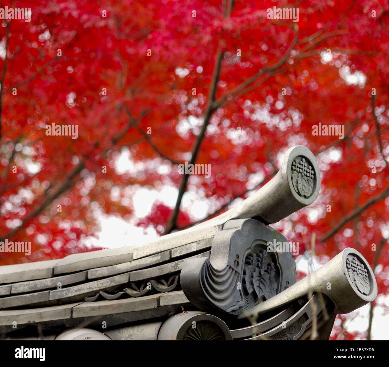 Roof tiles and eave-end tiles with circular pendants showing a family crest on the roof of a structure built in 1591 in  Kyoto and moved to Yokohama 1 Stock Photo