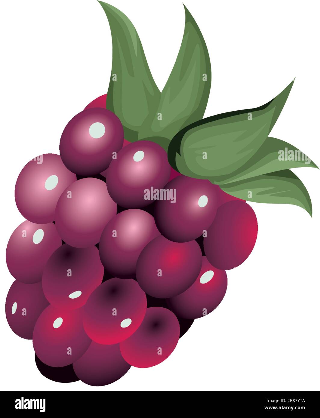 fresh grapes fruits nature icon Stock Vector Image & Art - Alamy