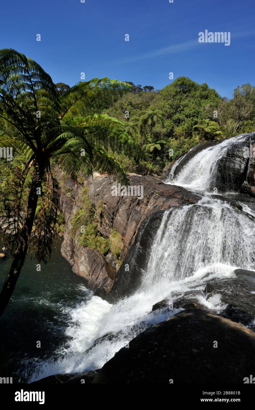 Sri Lanka, Horton Plains National Park, Baker’s falls Stock Photo