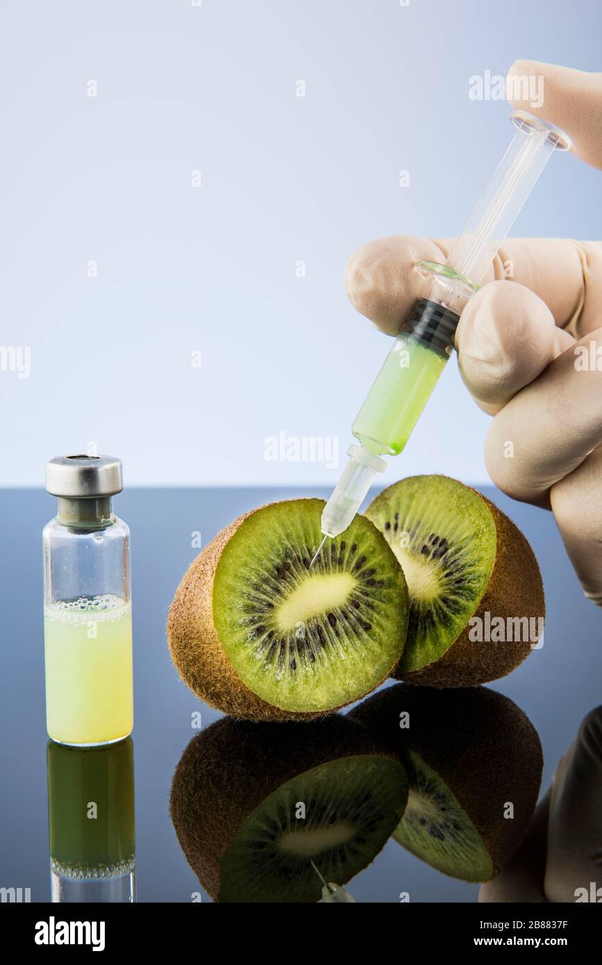 Liquid is injected into a kiwi, symbol image genetic manipulation, Austria Stock Photo