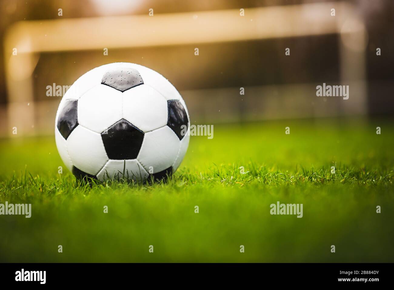 Classic soccer ball in sunset with typical black and white pattern ...