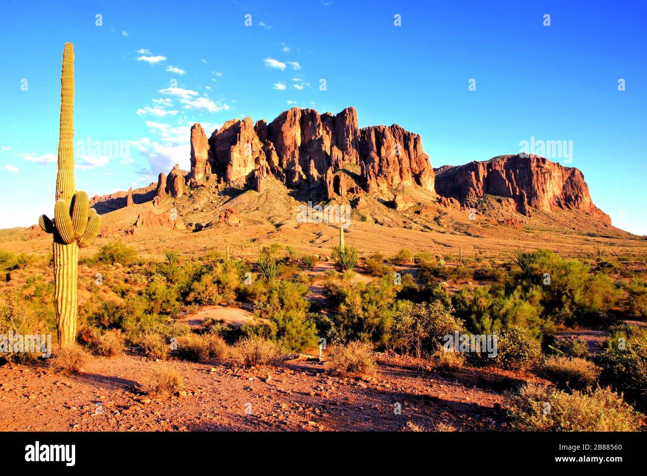 View of the Arizona desert with Saguaro cacti and mountains Stock Photo