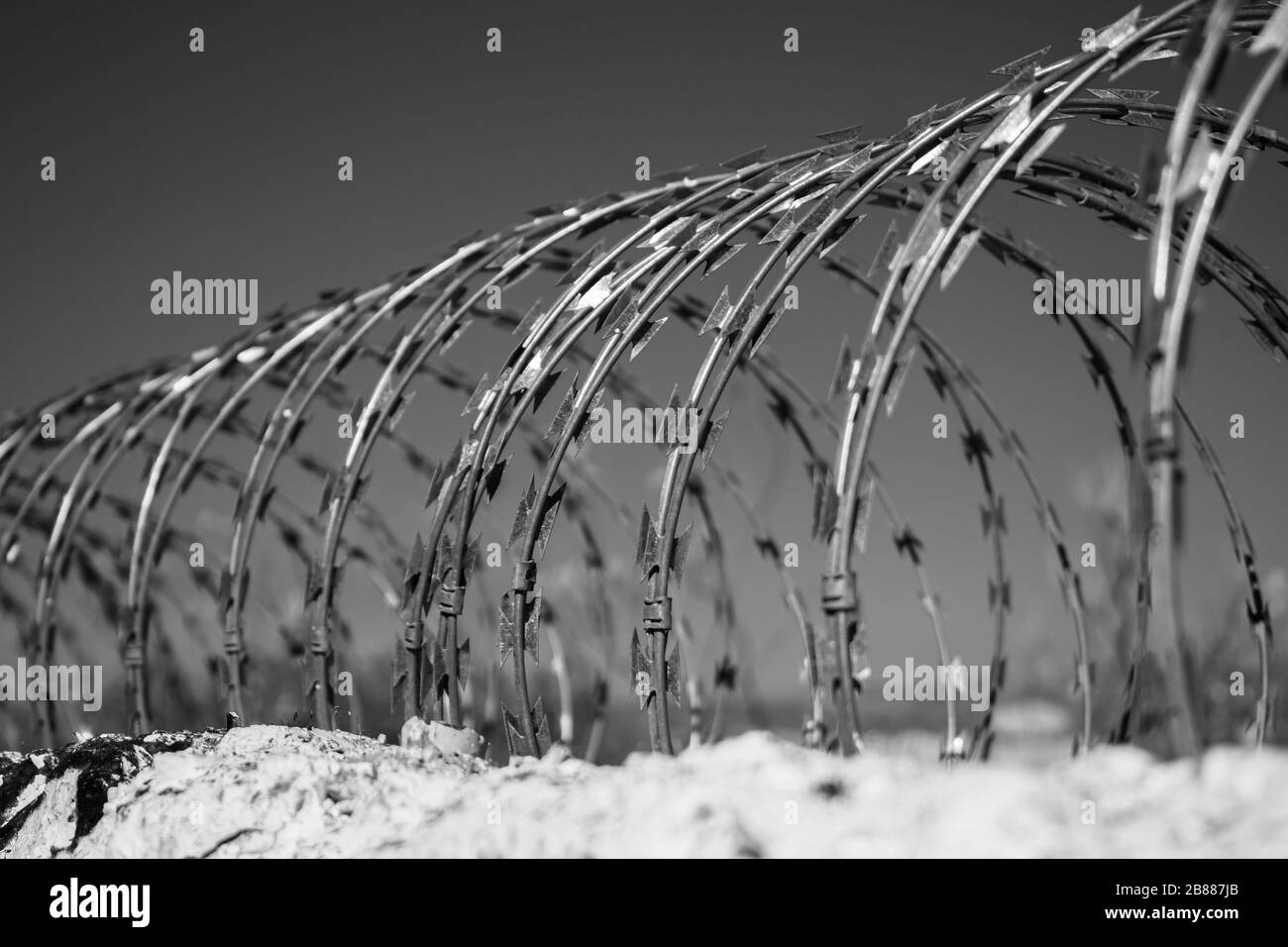 Barb and razor steel wire fence on top of wall, selective focus, black and white Stock Photo