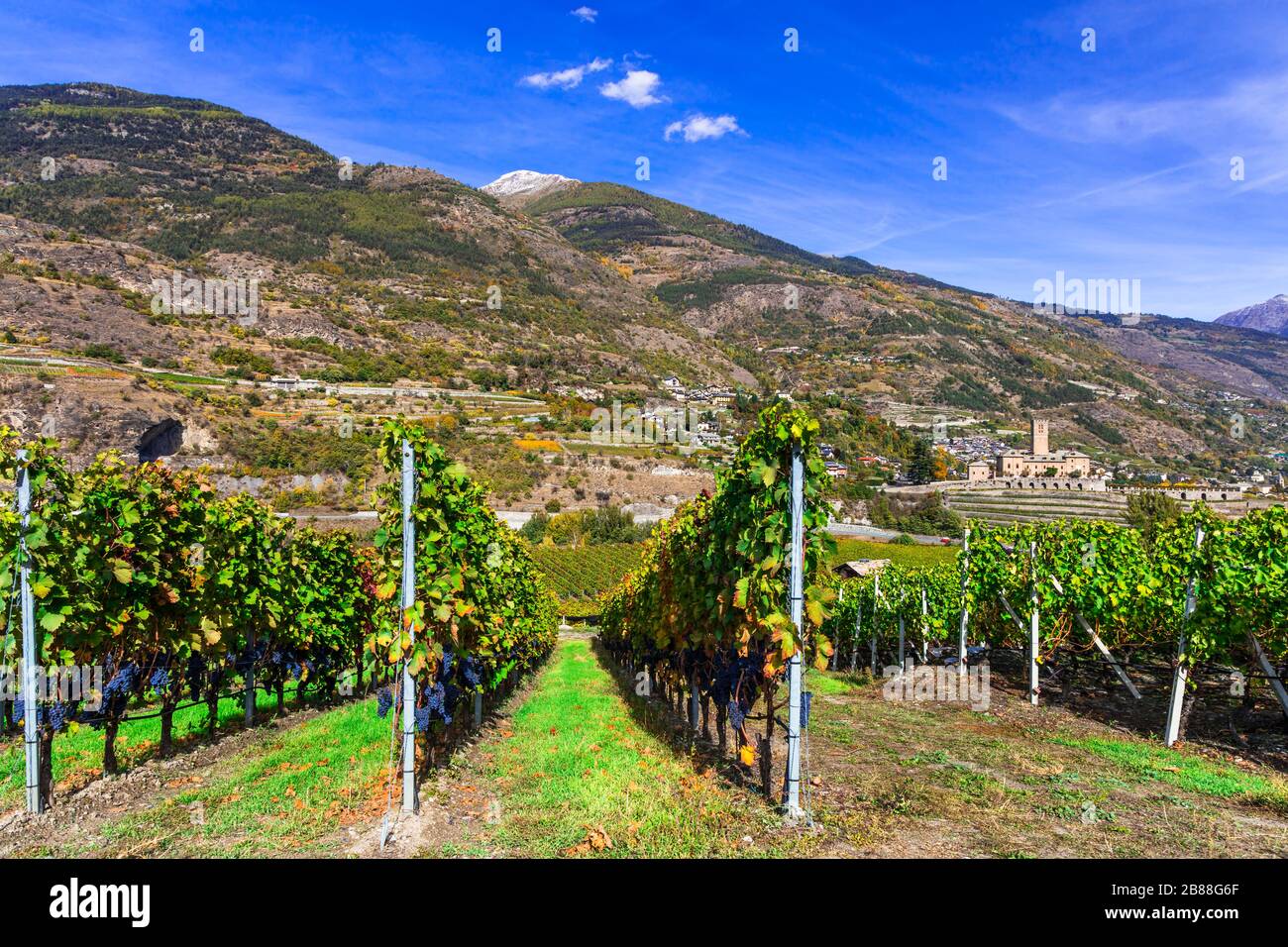 Vineyards and Sarre Castle,Valle d’ Aosta,Italy. Stock Photo