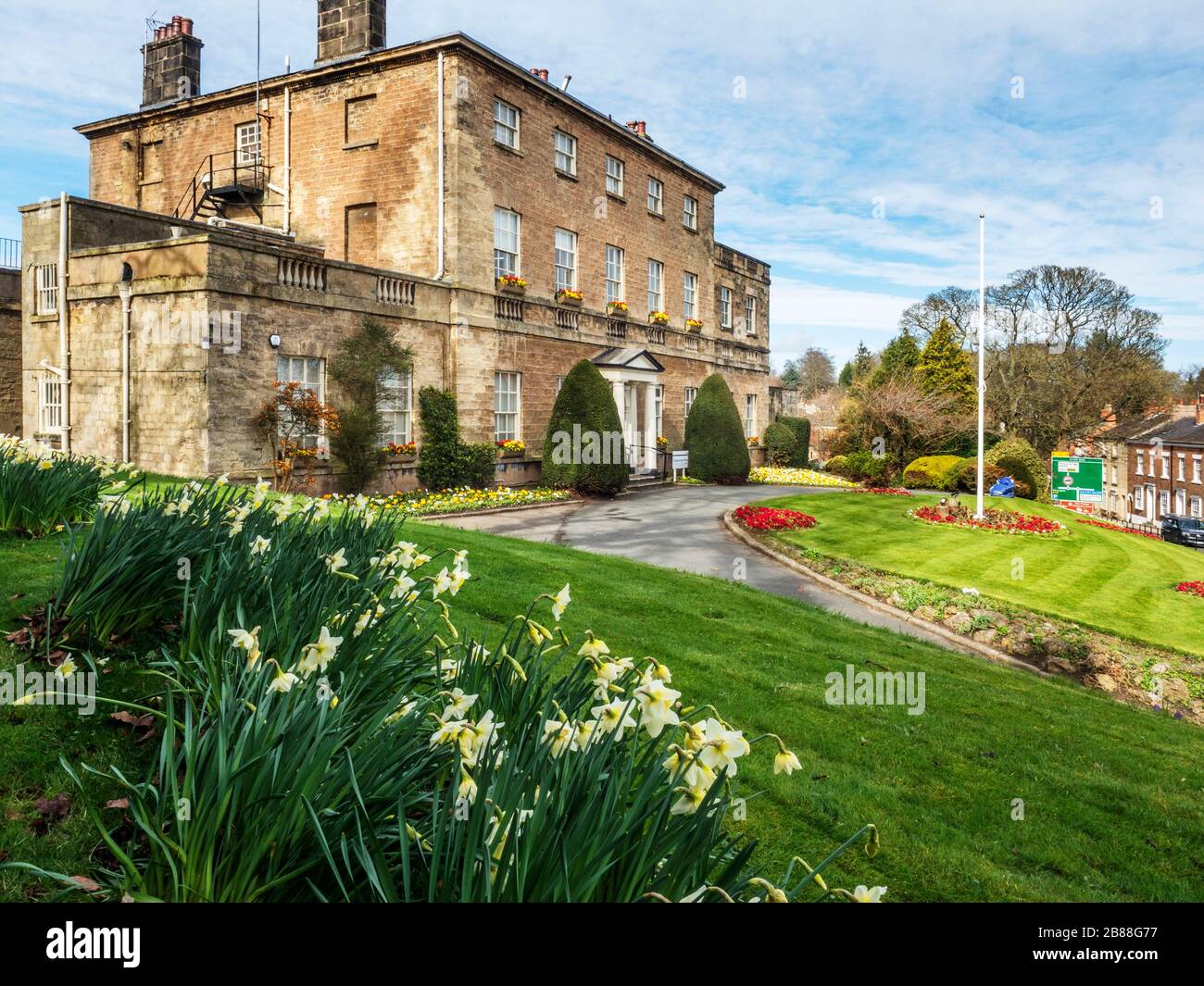 Daffodils in bloom at Knaresborough House in spring Knaresborough North