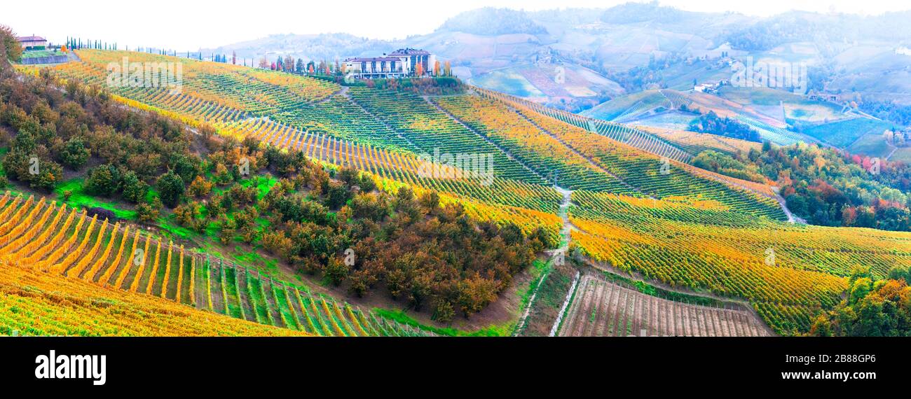 Colorful vineyards in Piedmont region,North Italy. Stock Photo