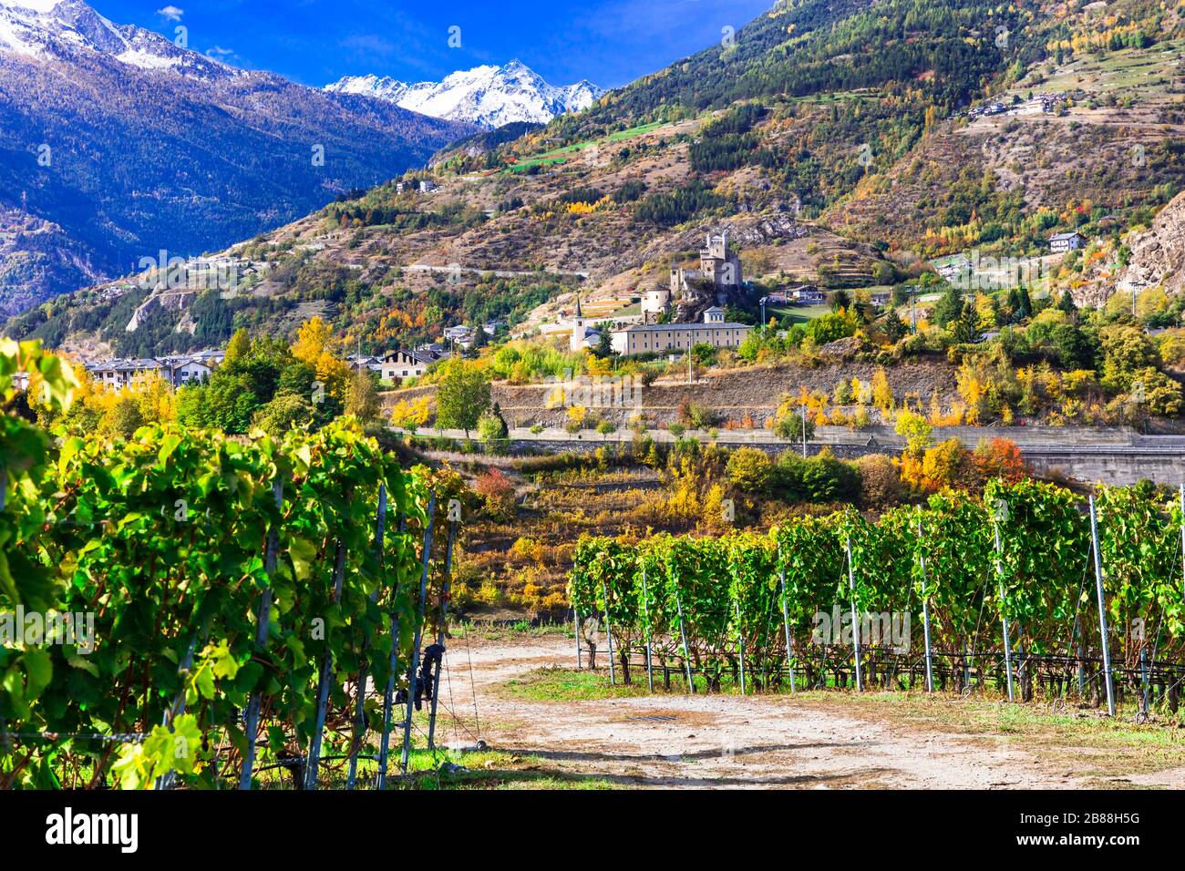 Colorful vineyards and old castle in Valle d’Aosta.North Italy. Stock Photo