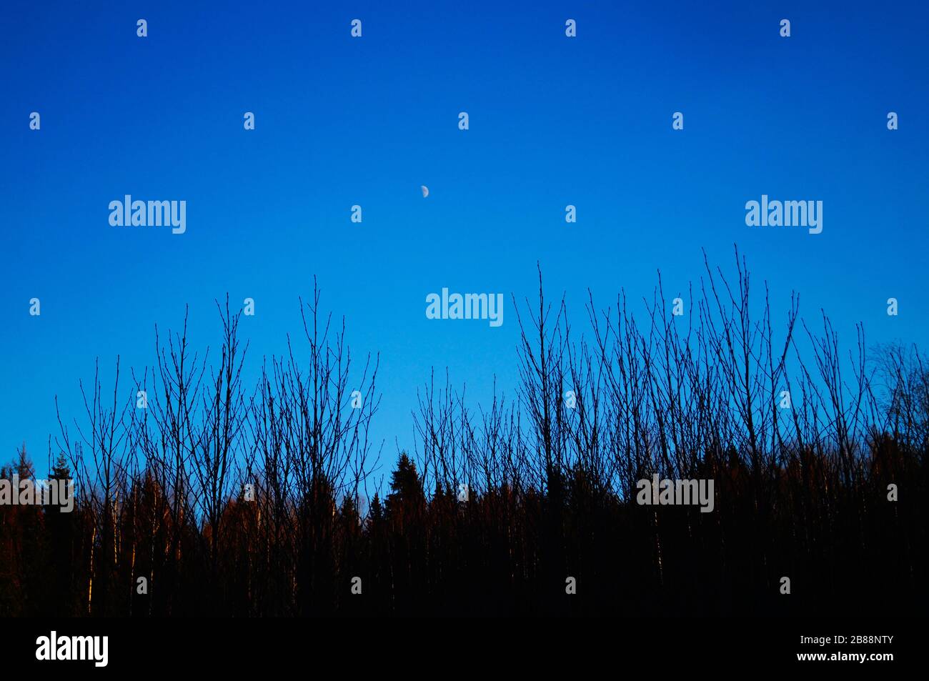 Moon in blue sky Stock Photo