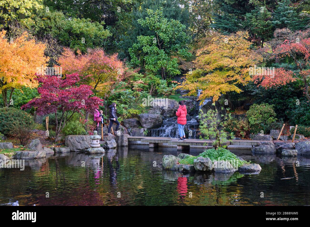 Autumn in holland park london hi-res stock photography and images