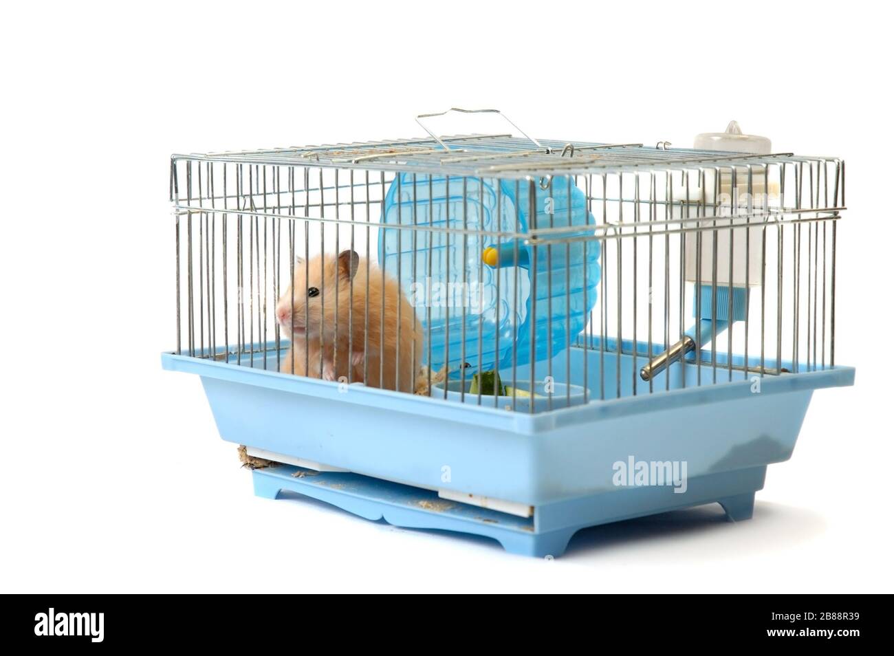 Cute sales hamster cage