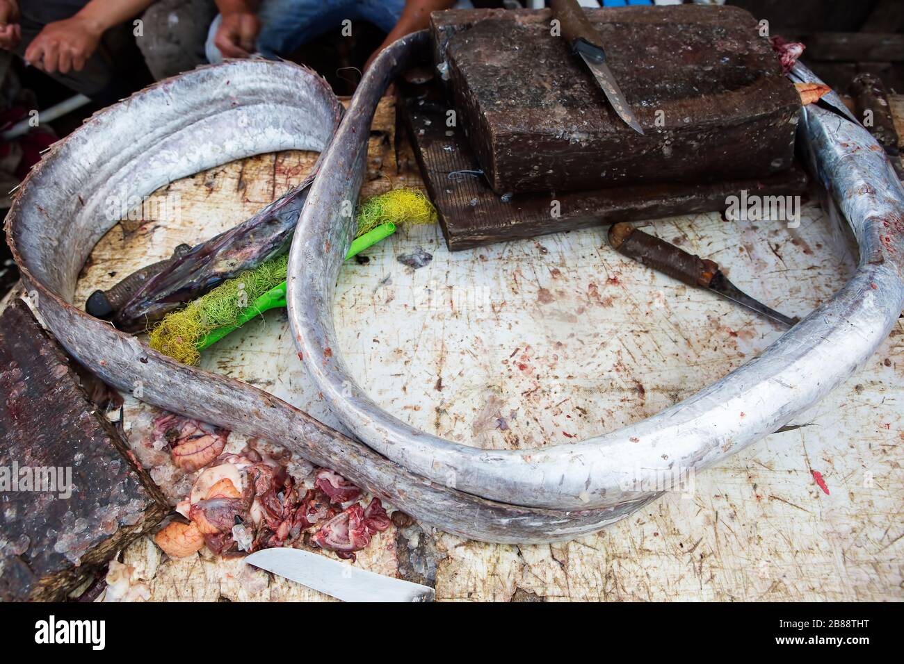Eels on the fishing market, Essaouira Morocco Stock Photo