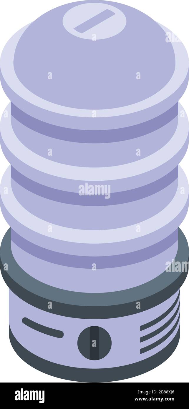 Professional steamer icon, isometric style Stock Vector