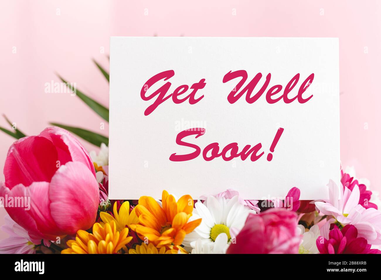 Get Well Soon card in flower bouquet on pink background. Stock photo mock up for text. Stock Photo