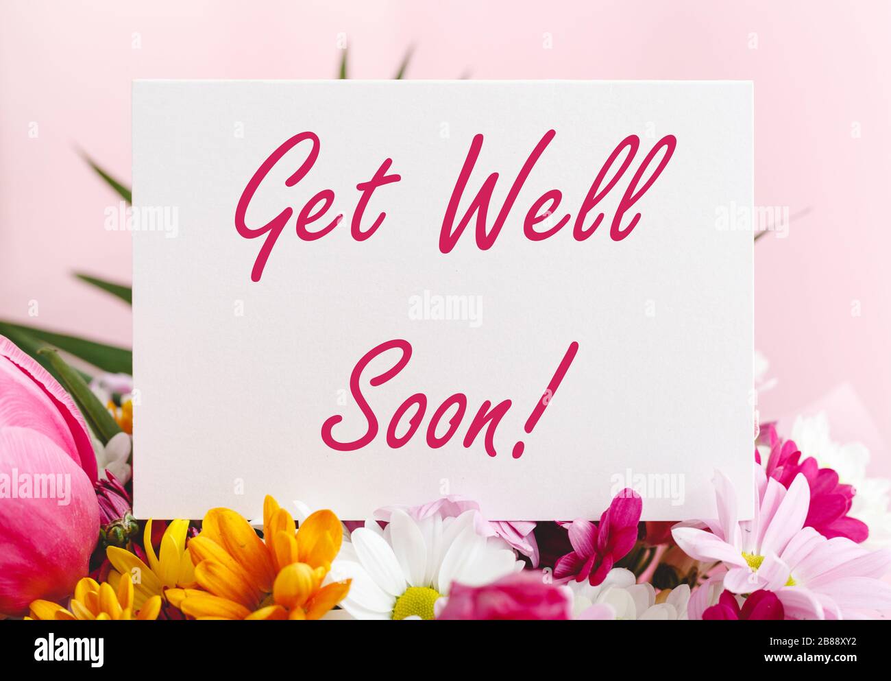 Get Well Soon card in flower bouquet on pink background. Stock photo mock up for text. Stock Photo