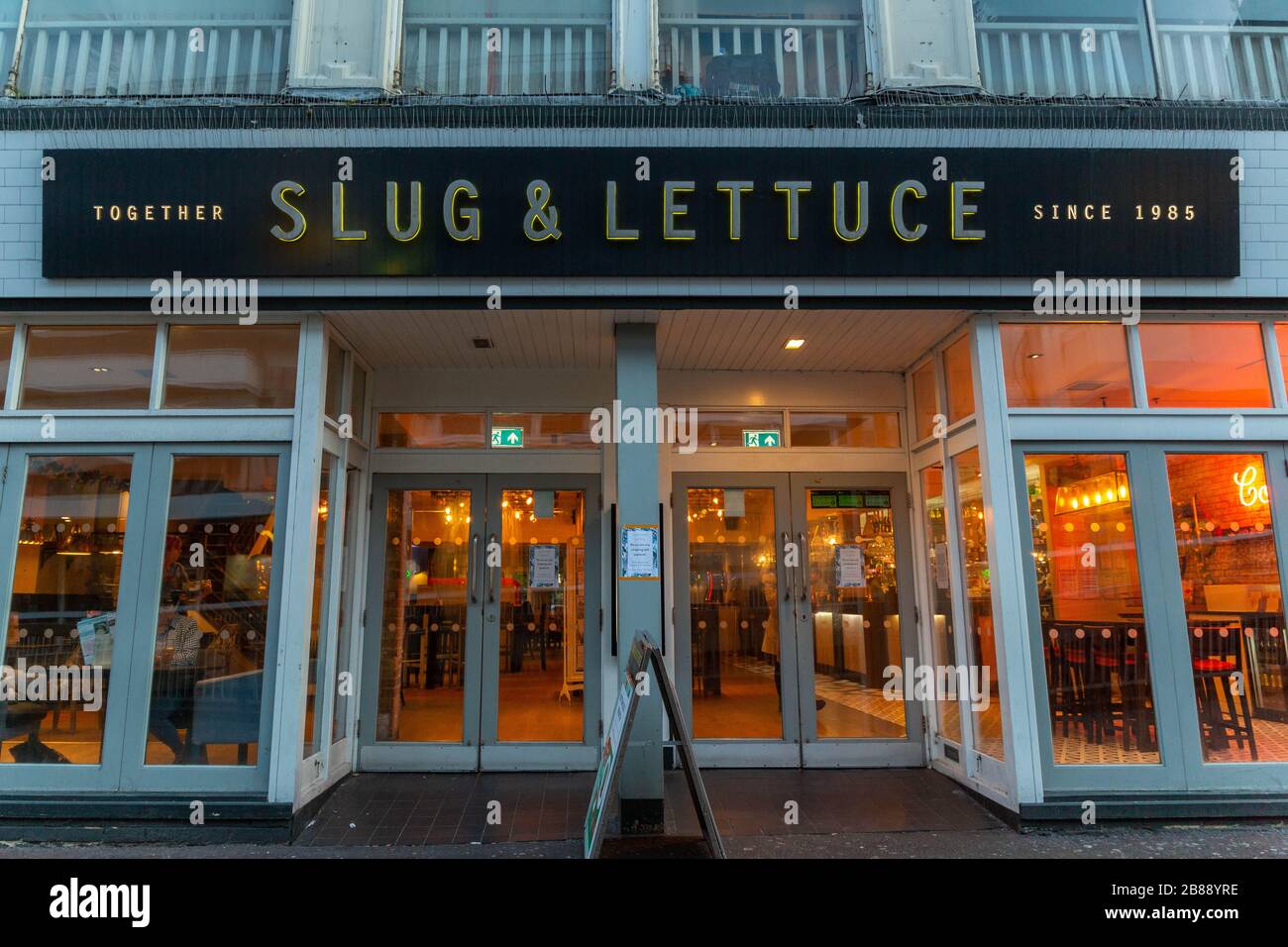 Lettuce sea slug hires stock photography and images Alamy