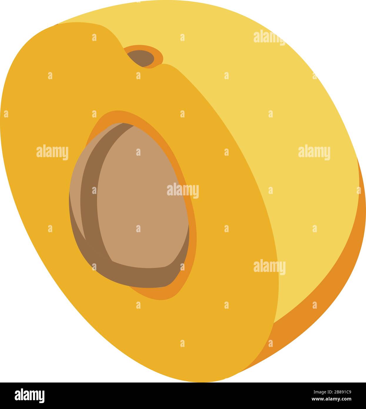 Half eco apricot icon, isometric style Stock Vector