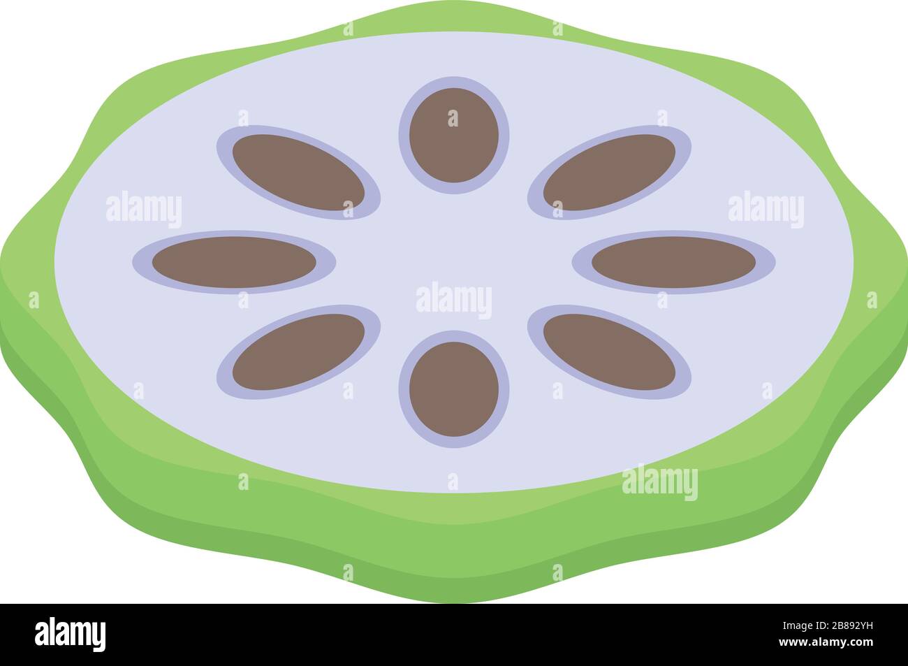 Cutted soursop icon, isometric style Stock Vector