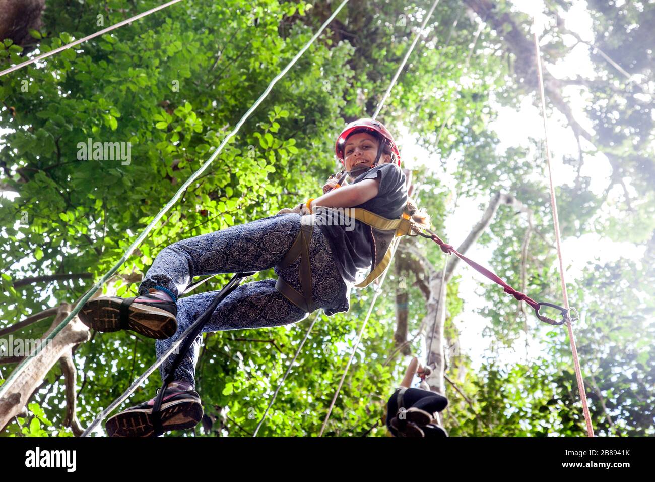 Go Ape High Resolution Stock Photography And Images Alamy Go Ape High Resolution Stock Photography And Images Alamy