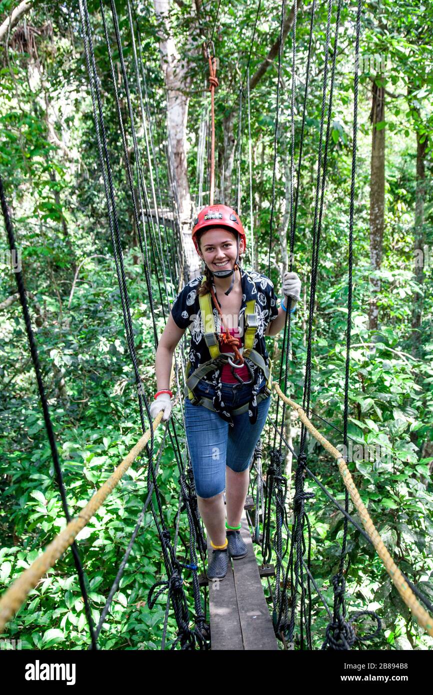 Jungle canopy adventure, go ape, at Reserva Natural Tanimboca, nature