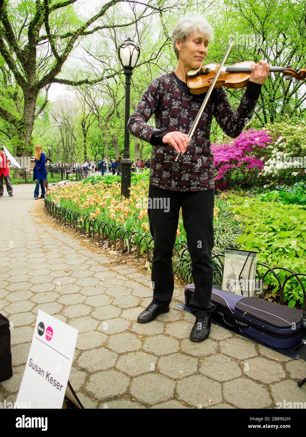 Violinist, Central Park, New York City, USA Stock Photo Alamy
