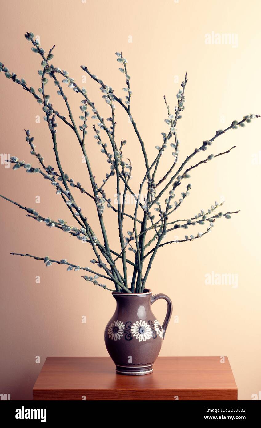 Willow Catkins in old porcelain vase on wooden table. Stock Photo