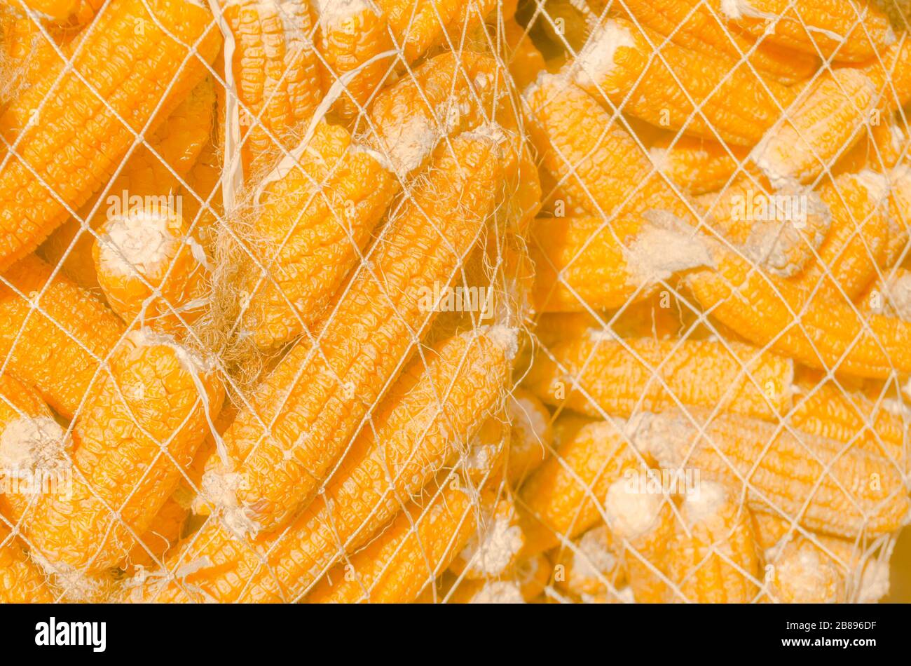 Sack of corn hires stock photography and images Alamy