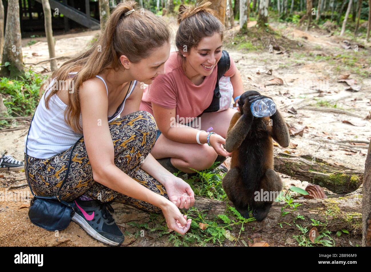Tourist group and monkey Maikuchiga Foundation, Monkey sanctuary in Loreto Mocagua in the Amazon Rain Forest, Leticia Amazon, Colombia. South America. Stock Photo
